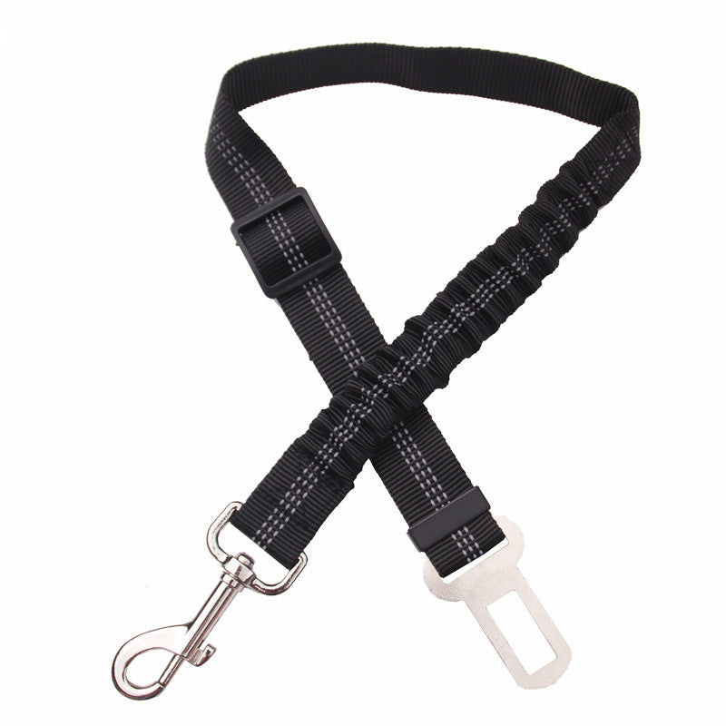 Seatbelt Leash For Dogs