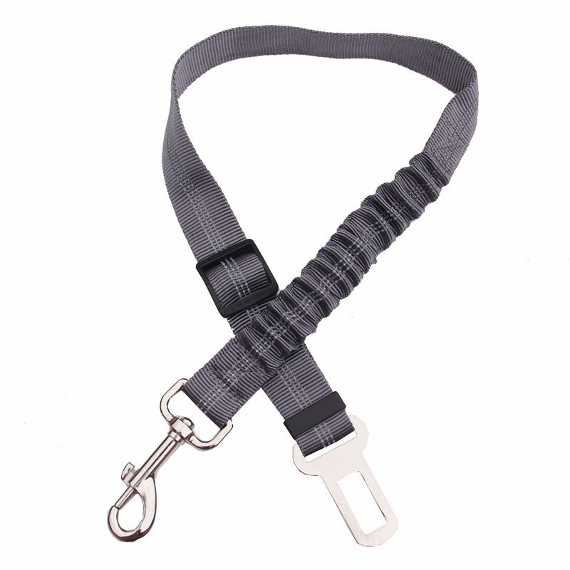 Seatbelt Leash For Dogs