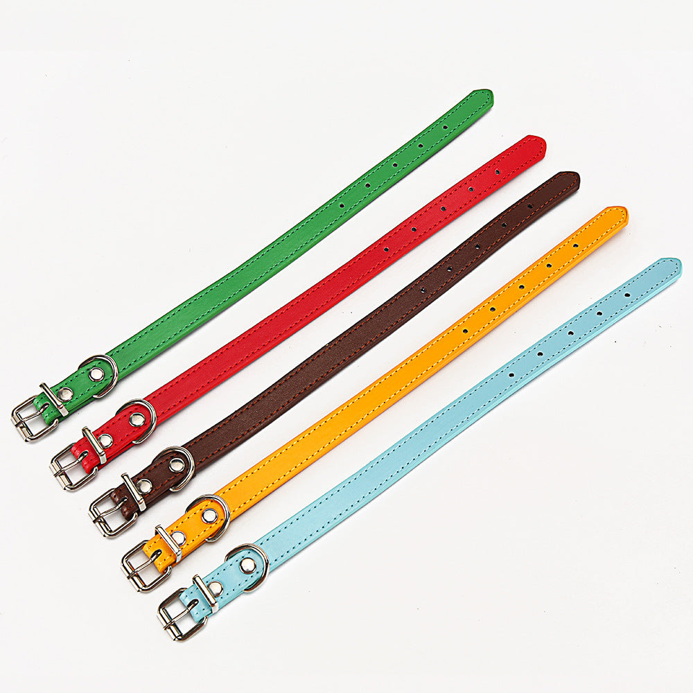 Coloured Leather Look-Alike Collar