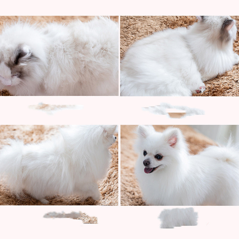Dog Brush