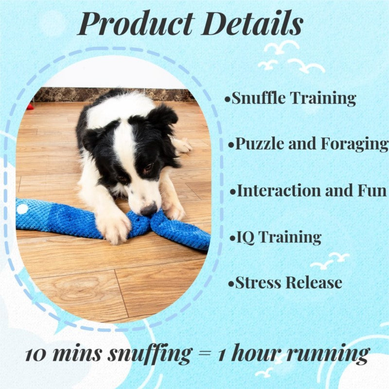 Squeaky Puzzle Toy